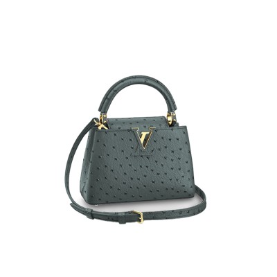 LOUIS VUITTON CAPUCINES MINI M95509 (21*14*8cm)